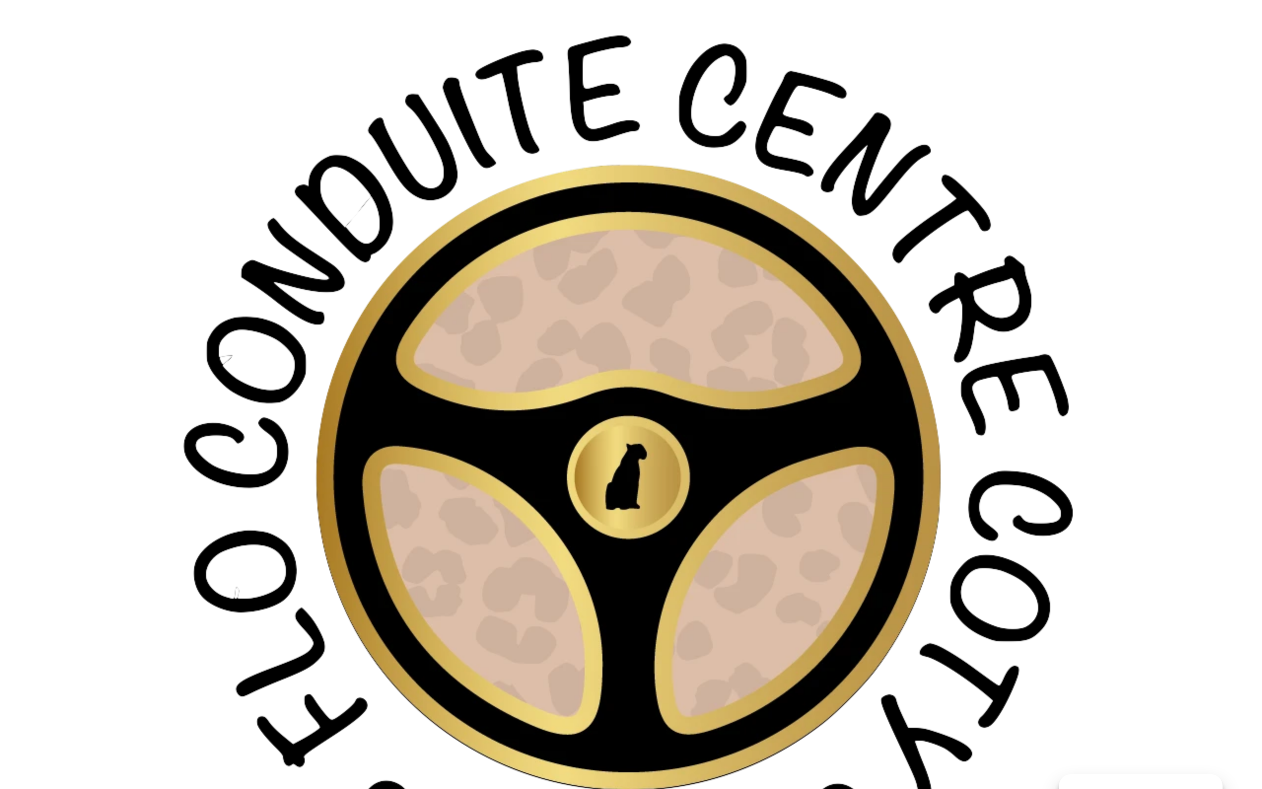 Aperçu du site École de conduite du Centre Coty