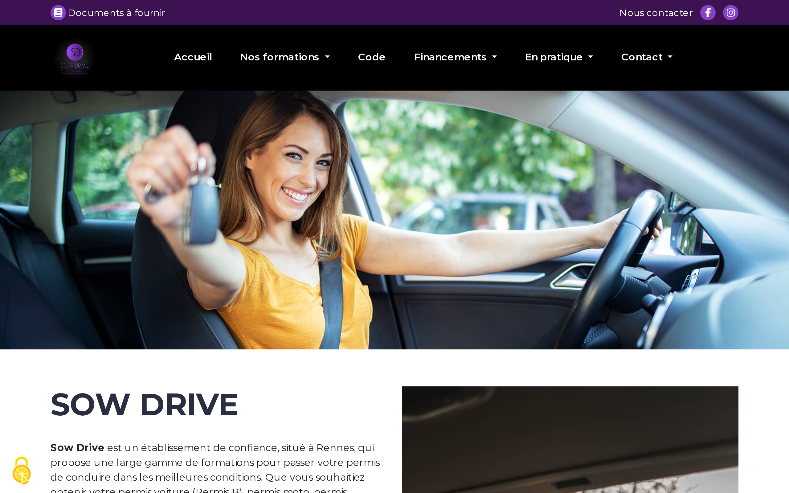 Aperçu du site Sow Drive