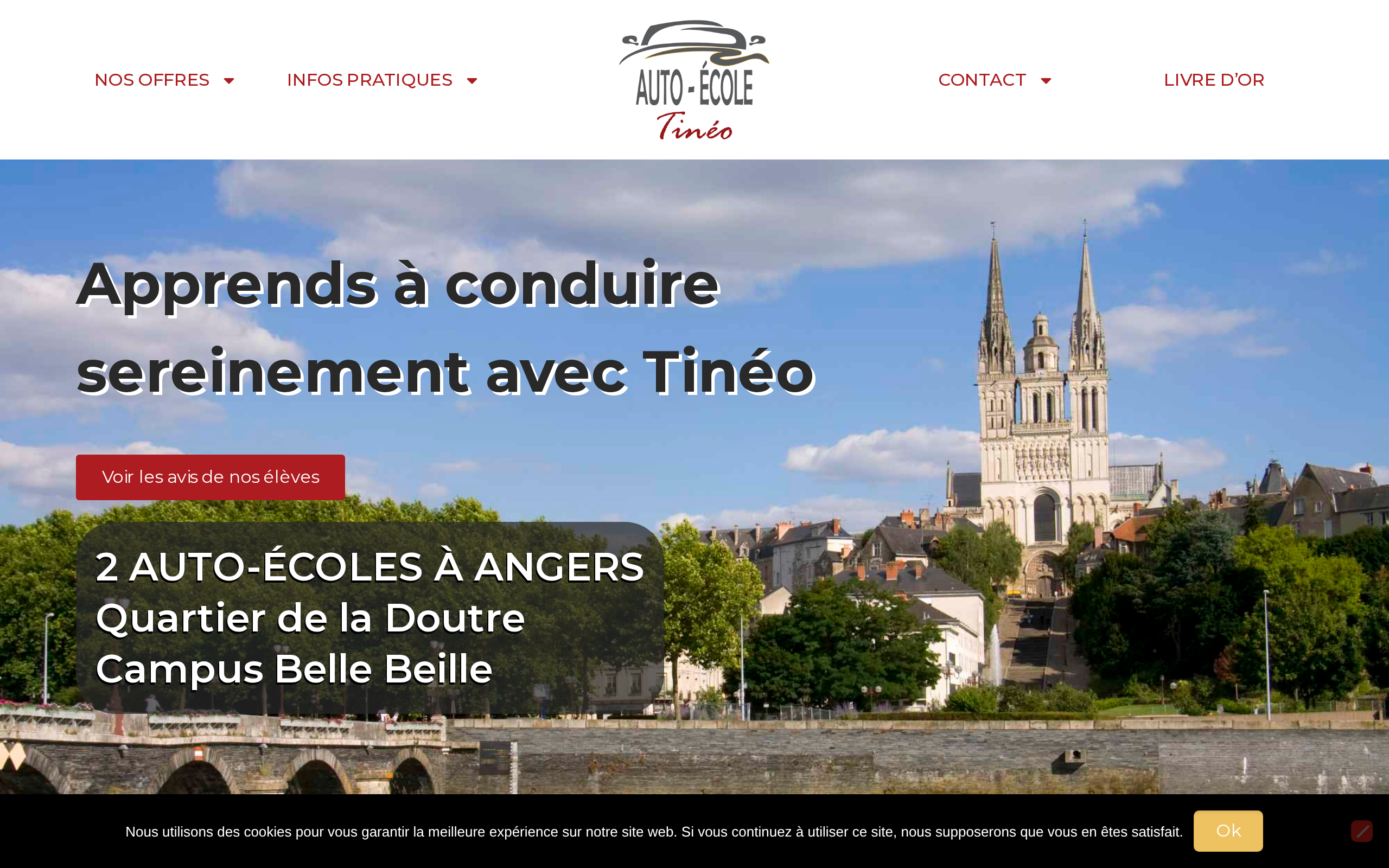 Aperçu du site Auto-école Tinéo