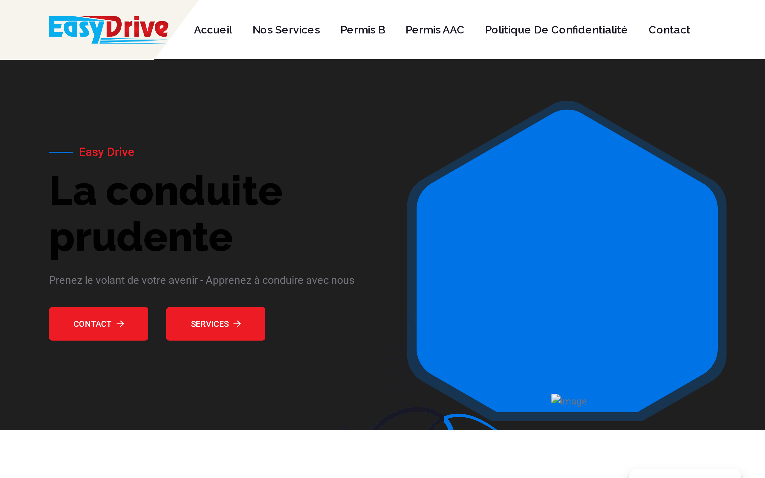 Aperçu du site Easy Drive